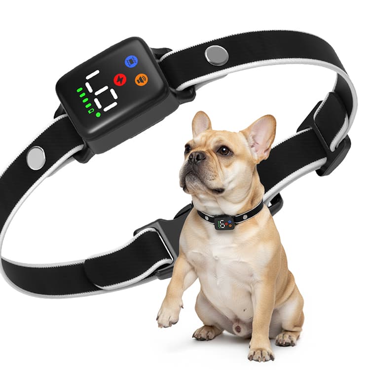 Extra Small Shock Collar