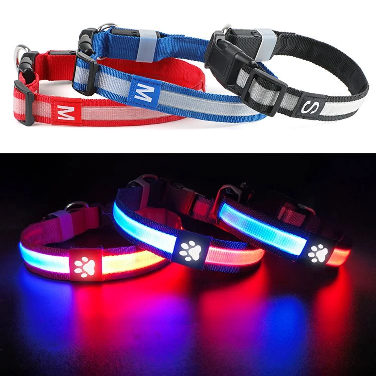 Night Glow Dog Collar