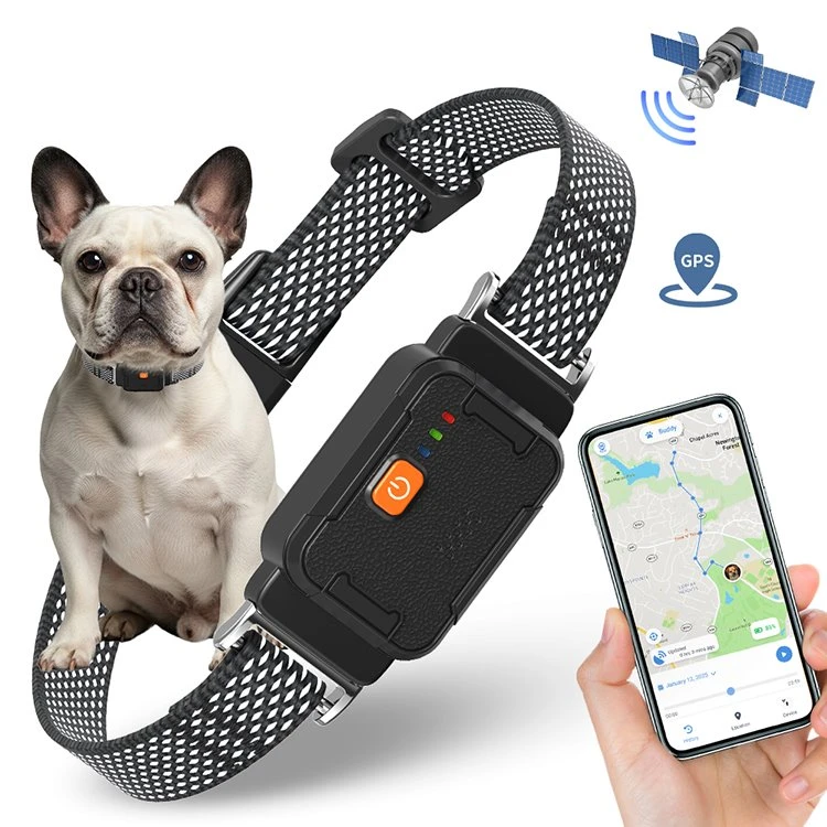 Real Time Gps Dog Collar