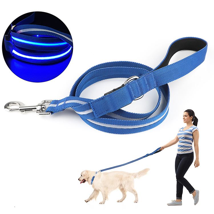 Rechargeable Led Dog Leash