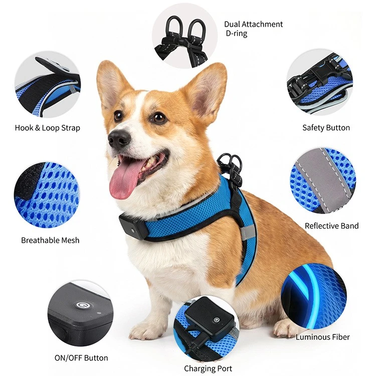 Rechargeable Light Up Dog Harness best