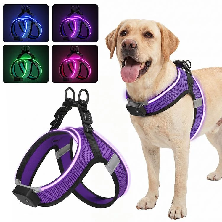 Rechargeable Light Up Dog Harness